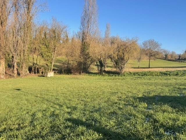 Terrain à SAINT-MARTIN-DE-RIBERAC