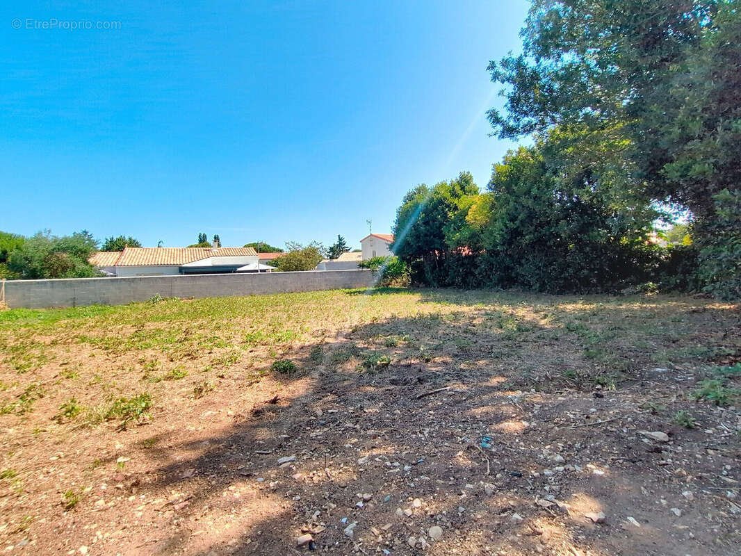 Terrain à DOMPIERRE-SUR-MER