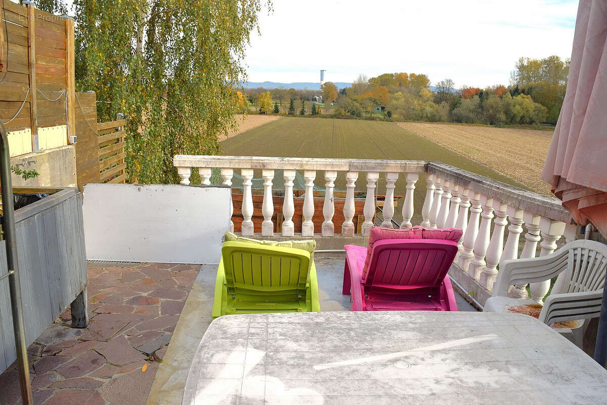 Appartement à SELTZ