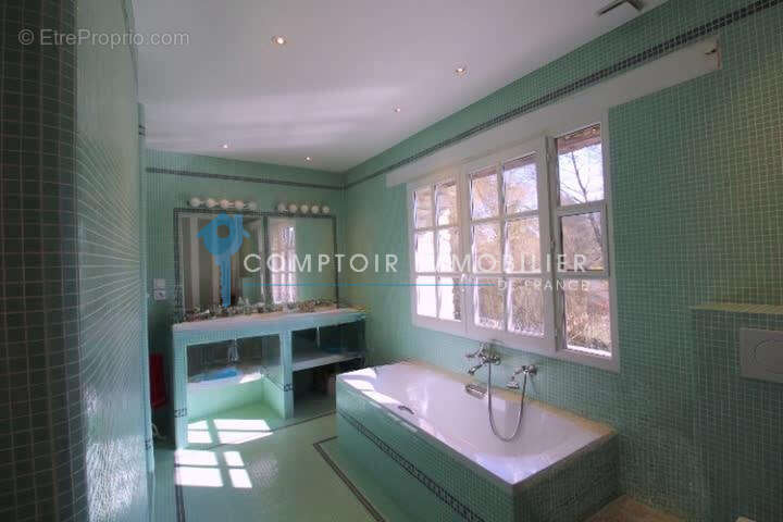 A vendre Dpt Eure (27) proche Pacy sur Eure Moulin 353 m2 avec piscine sur terrain de 5542 m2 au bord de riviè - photo 8