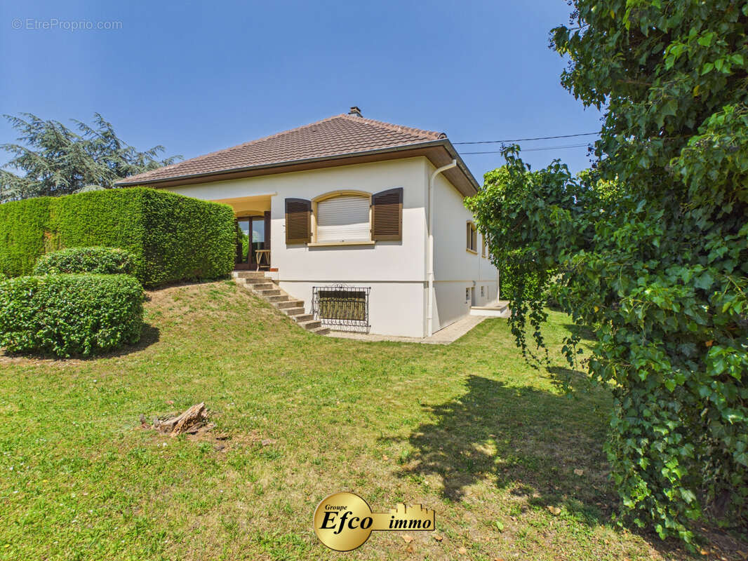 Rare à Pfastatt, maison de plain-pied, Île-de-France, 7 pièces 180 m2 sur 8 ares de terrain avec possibilté ac - photo 16