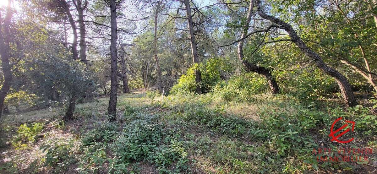 Terrain à CARCASSONNE