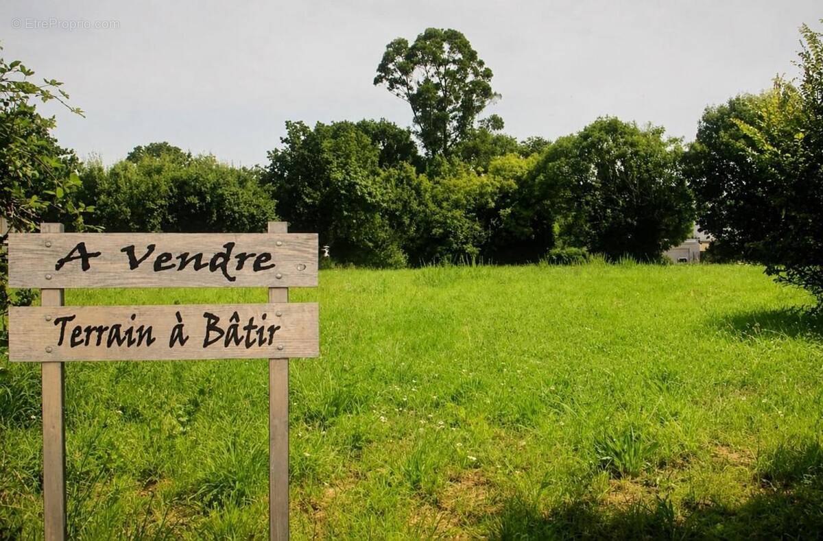 Terrain à SAINT-VINCENT-DE-PAUL