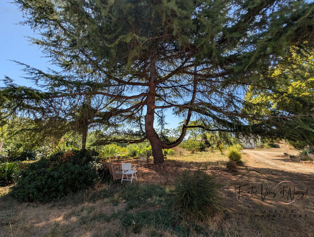 Maison 320 m² à Langon  - photo 5