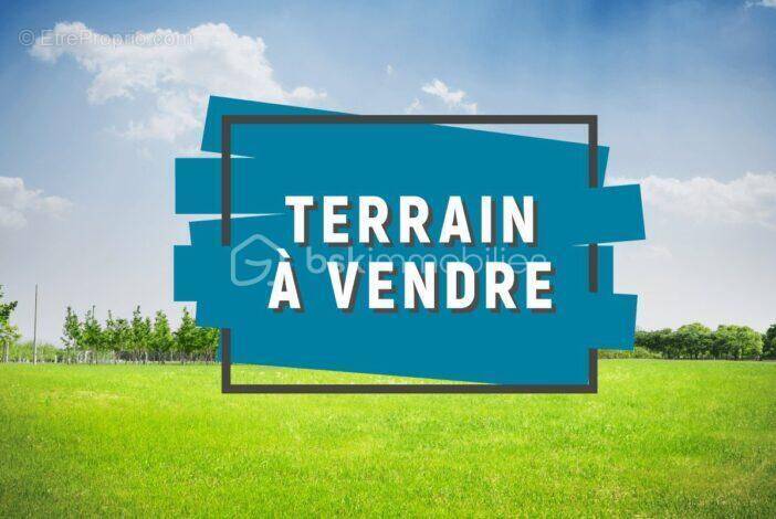 Terrain à LA BROSSE-MONTCEAUX