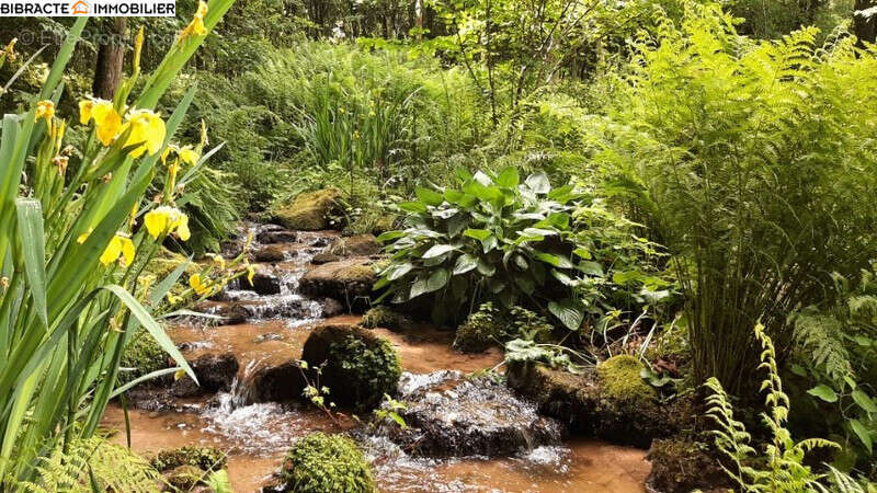 Maison à SAINT-SYMPHORIEN-DE-MARMAGNE