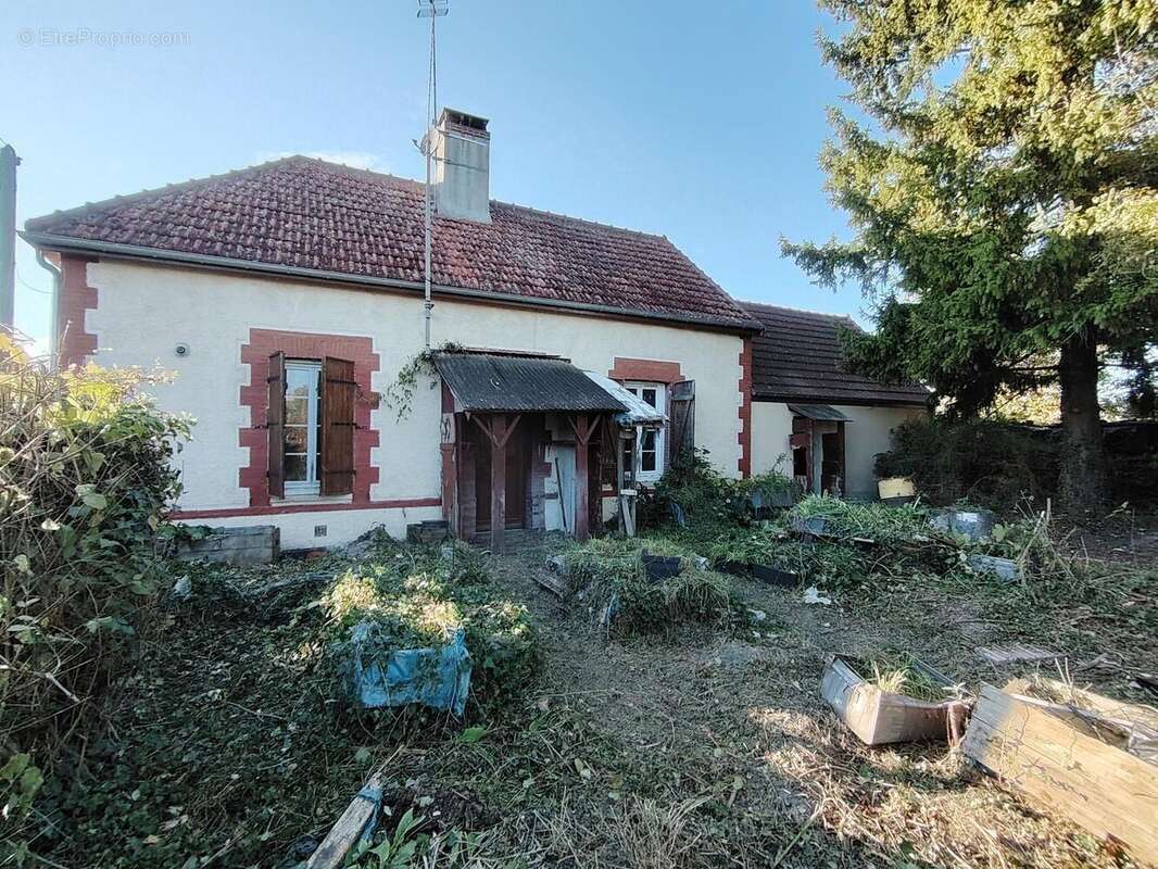 Photo 9 - Maison à CHATRES