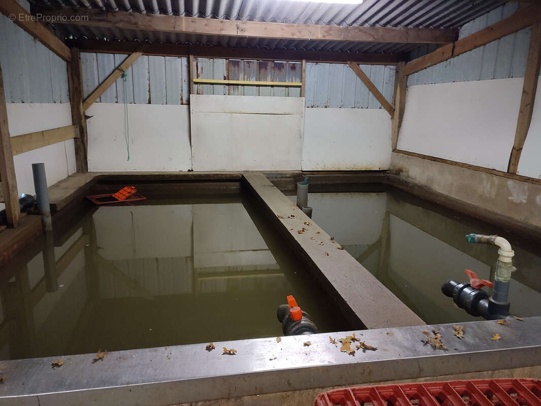 Commerce à PLEVENON