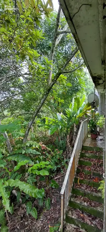 Maison de type t4 + t2 a vendre sur un terrain de 1290 m2 a sainte-rose - photo 26