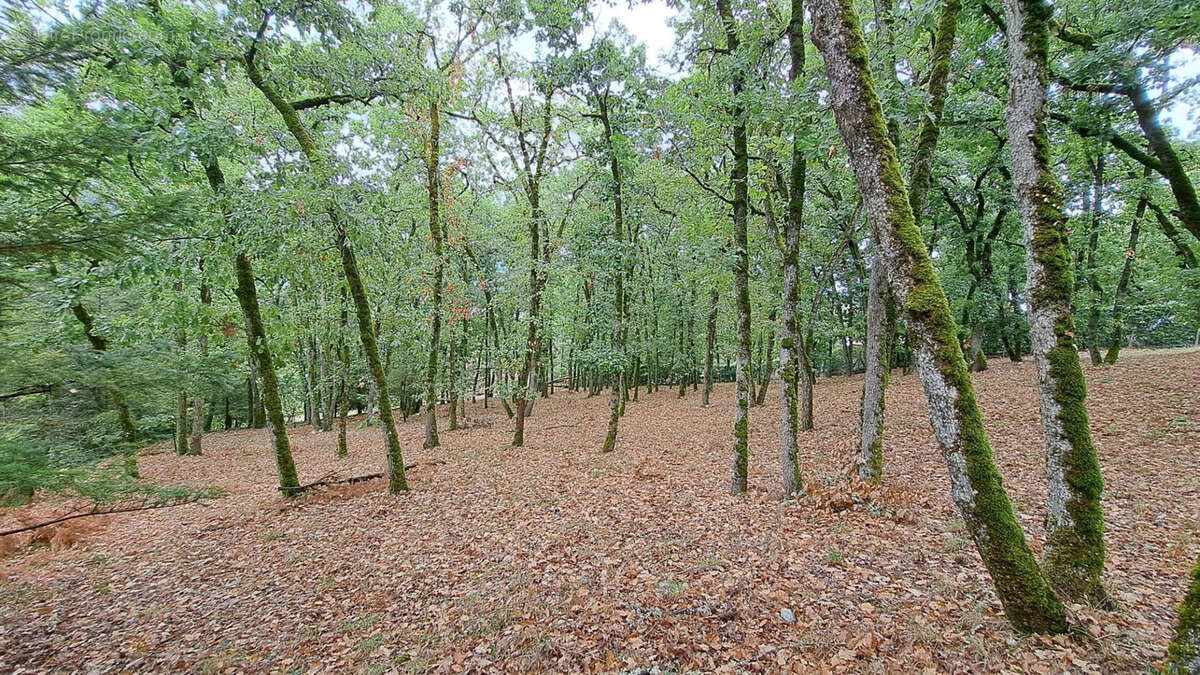 Terrain à SOUILLAC
