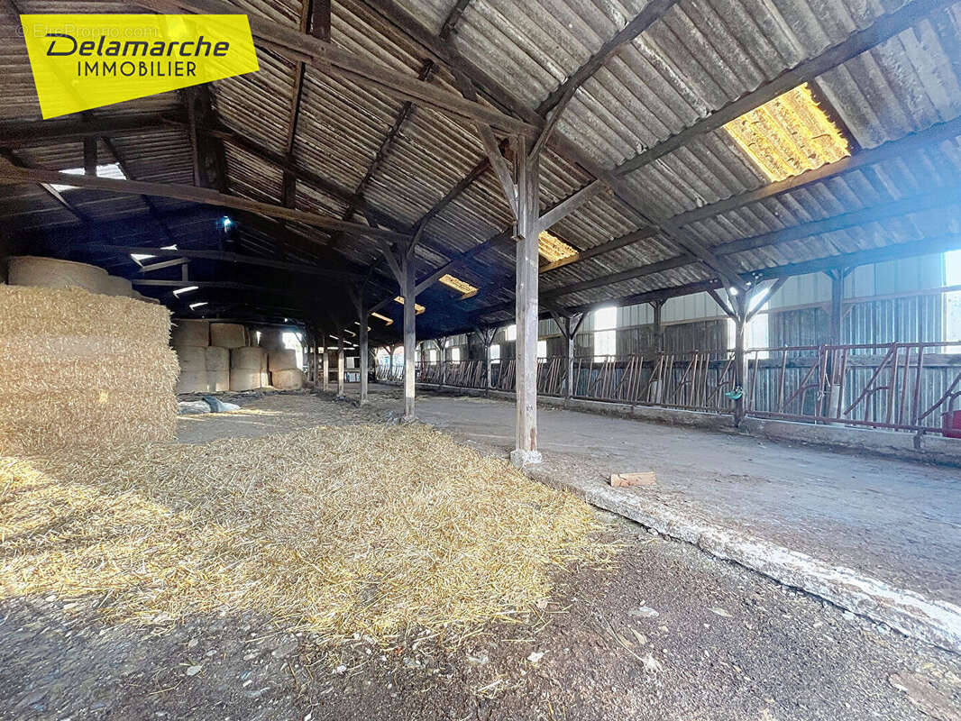 Maison à MUNEVILLE-SUR-MER