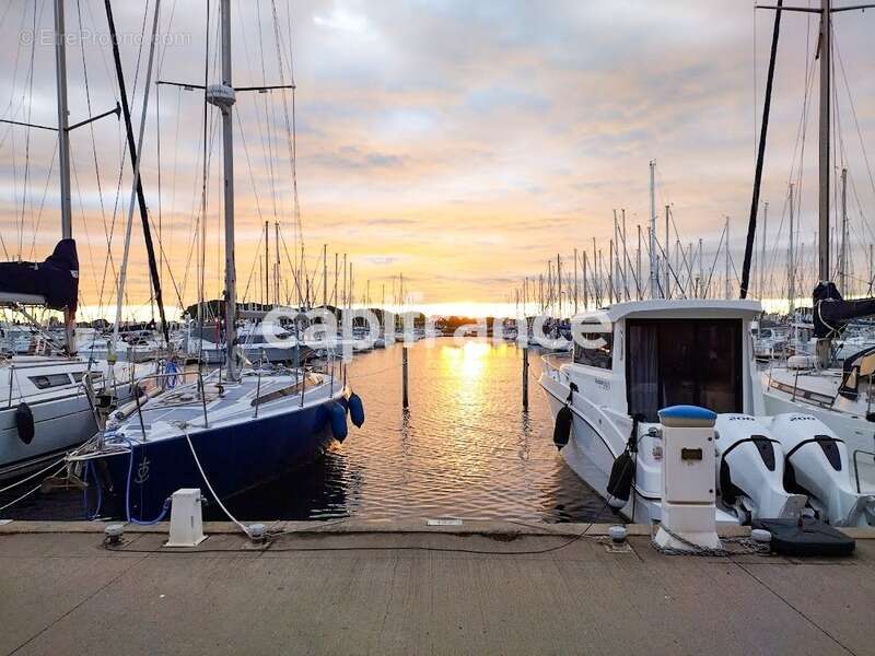 Commerce à LE GRAU-DU-ROI