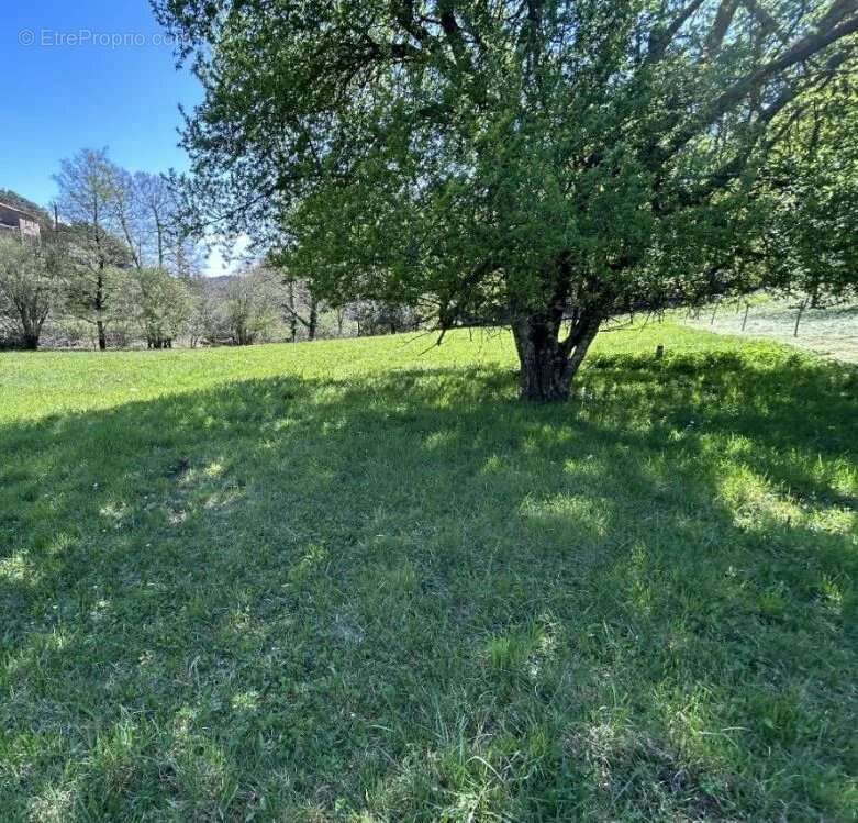 Maison à SOUDORGUES