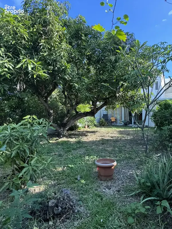 Maison f4/5 à ravine blanche - photo 4