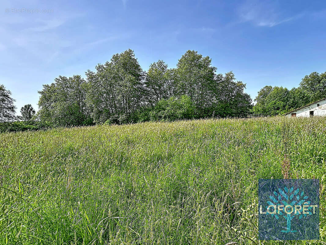 Terrain à SAUGNAC-ET-CAMBRAN