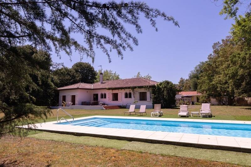 Maison à LABENNE