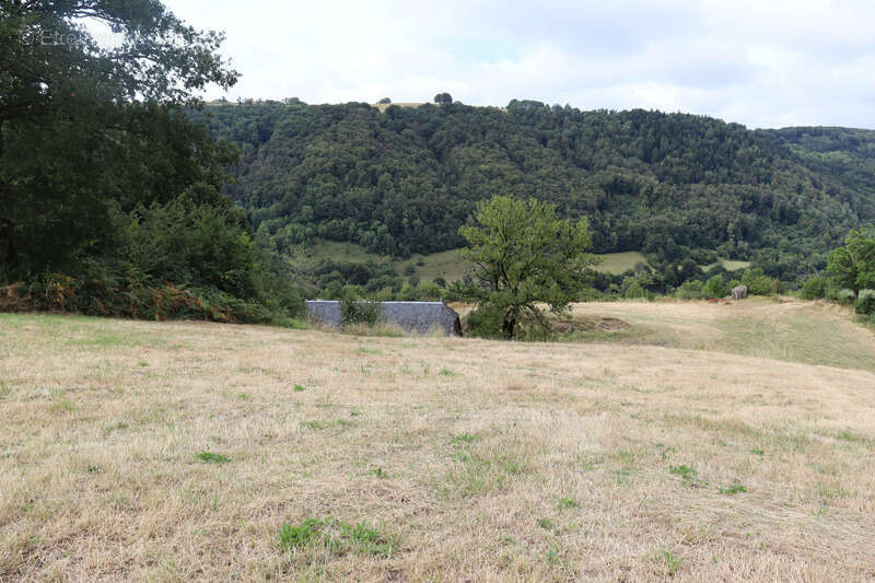 Maison à SAINT-PROJET-DE-SALERS