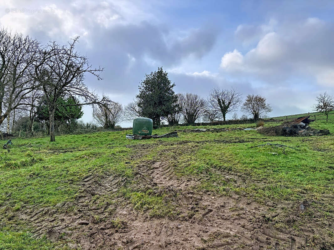 Maison à JUVIGNY-LE-TERTRE