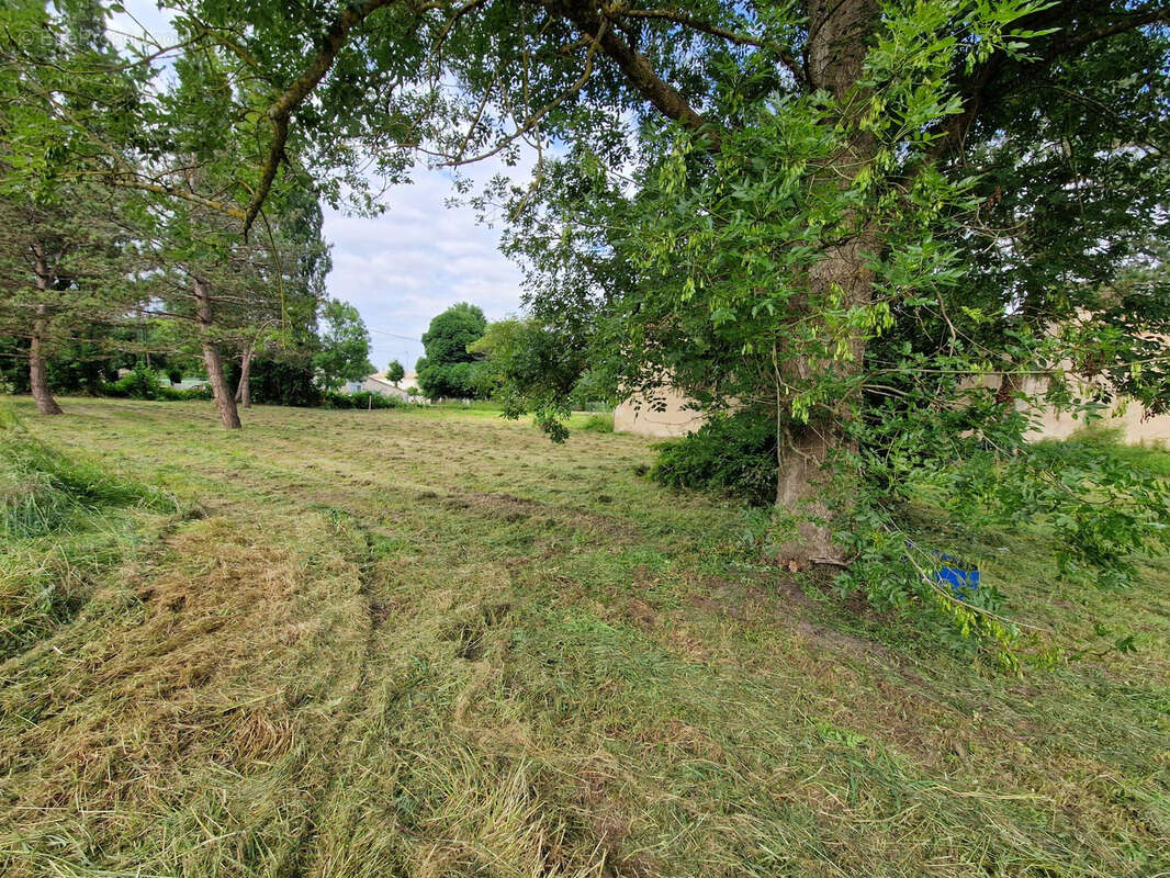 Terrain à SAINT-CIERS-SUR-GIRONDE