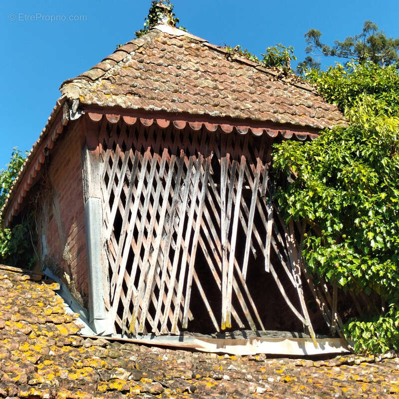 Maison à TACHOIRES