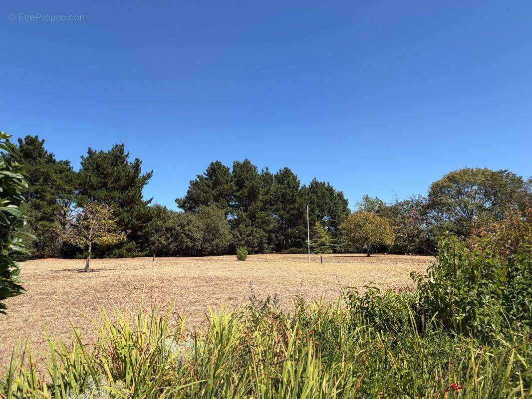 Soullans 85300 - domaine prive de 3,2 hectares clos - propriete d'exception avec granges et presqu'ile - photo 14