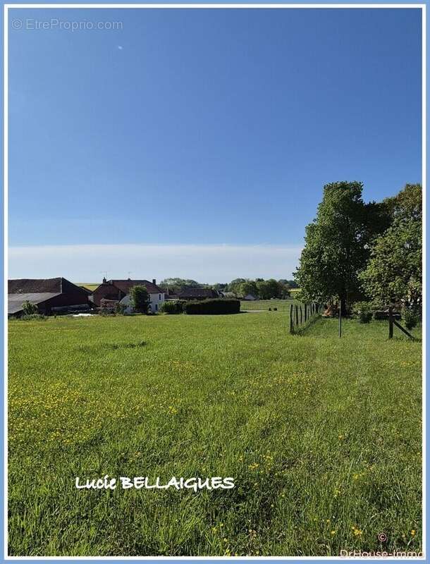 Terrain 1831 m² à Onjon  - photo 16