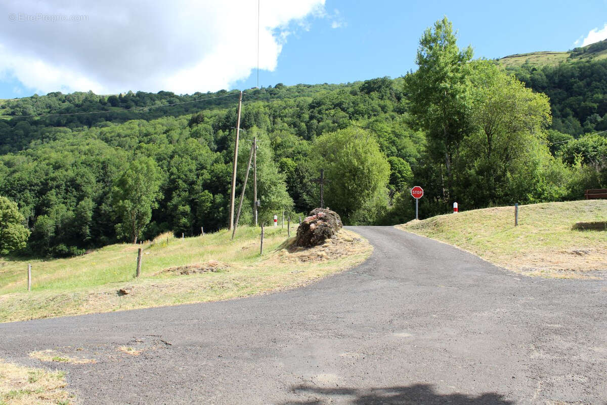 Maison bourgeoise dans la vallee du mars - photo 26