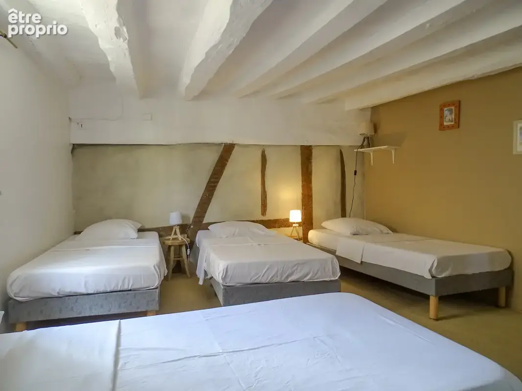 Charmante maison Dans la cité médiévale de Mennetou sur Cher - photo 15