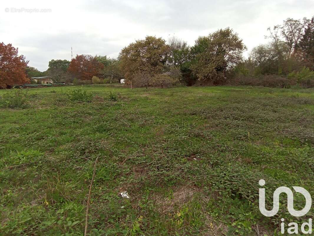 Photo 5 - Terrain à SAINT-REMY