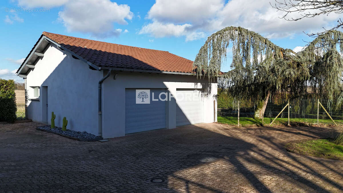 Maison à L'ABERGEMENT-CLEMENCIAT