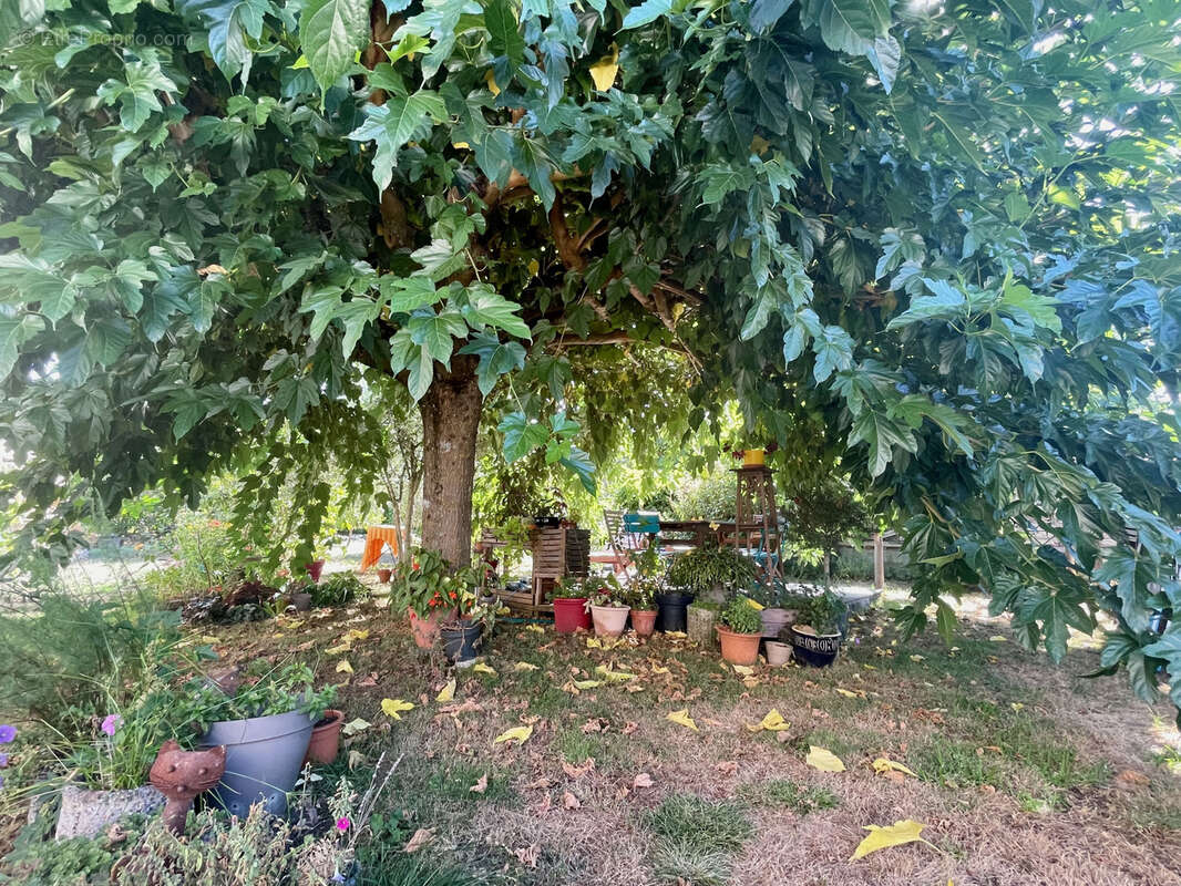 Charmante maison 4 chambres avec jardin et dépendances - photo 10