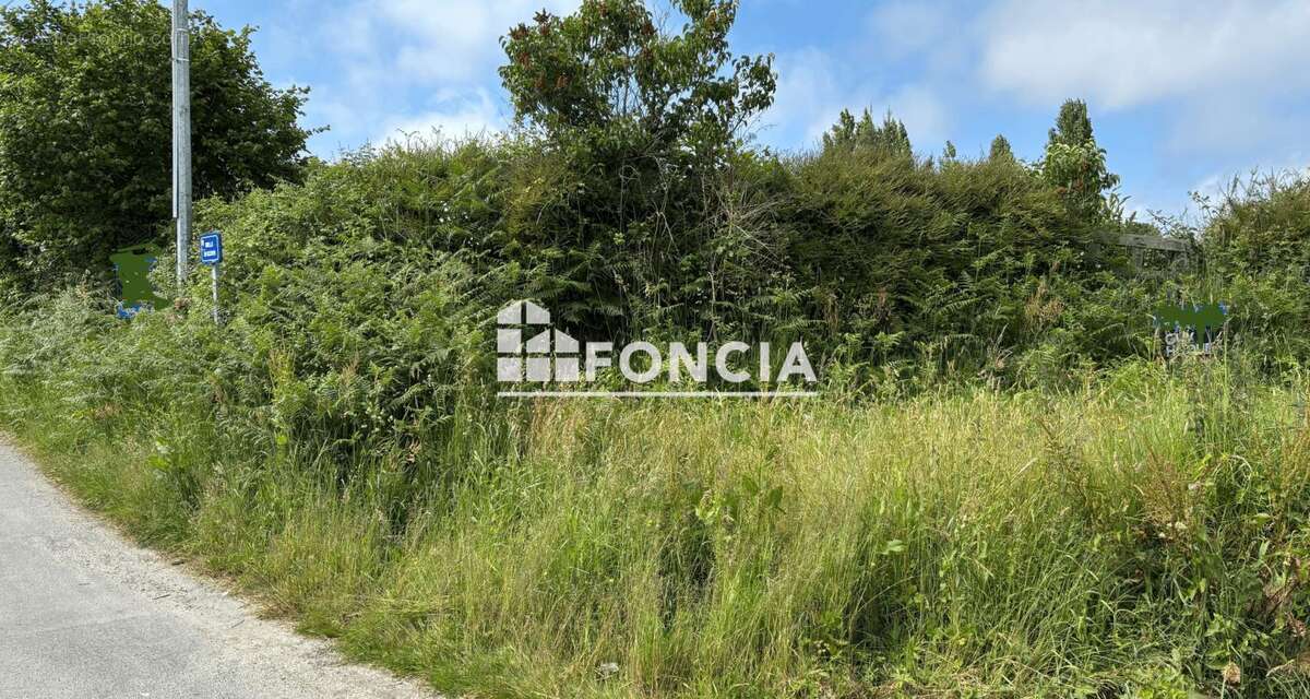 Terrain à LE TRONCHET