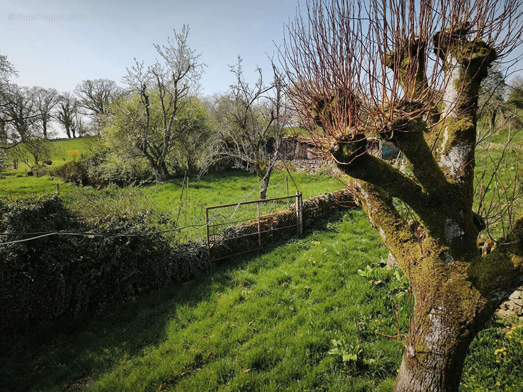 Maison à BILLY-CHEVANNES