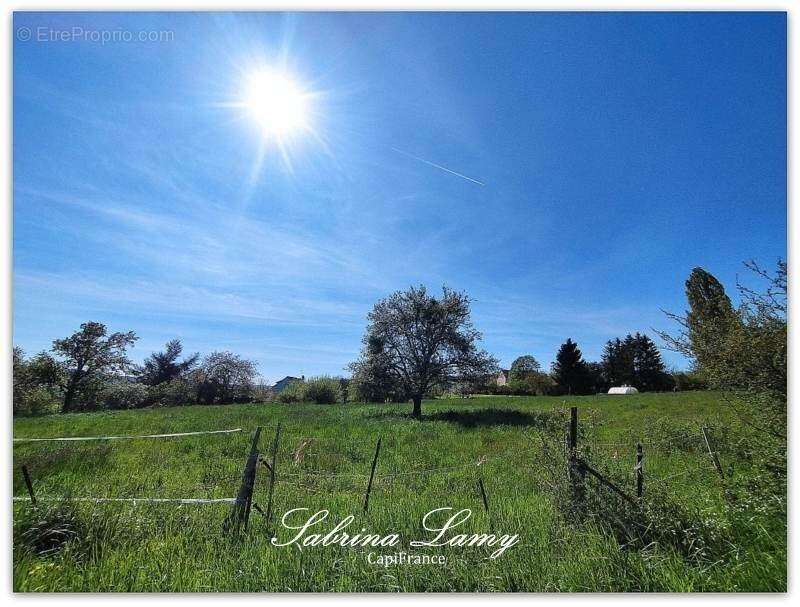 Terrain à SUIZY-LE-FRANC