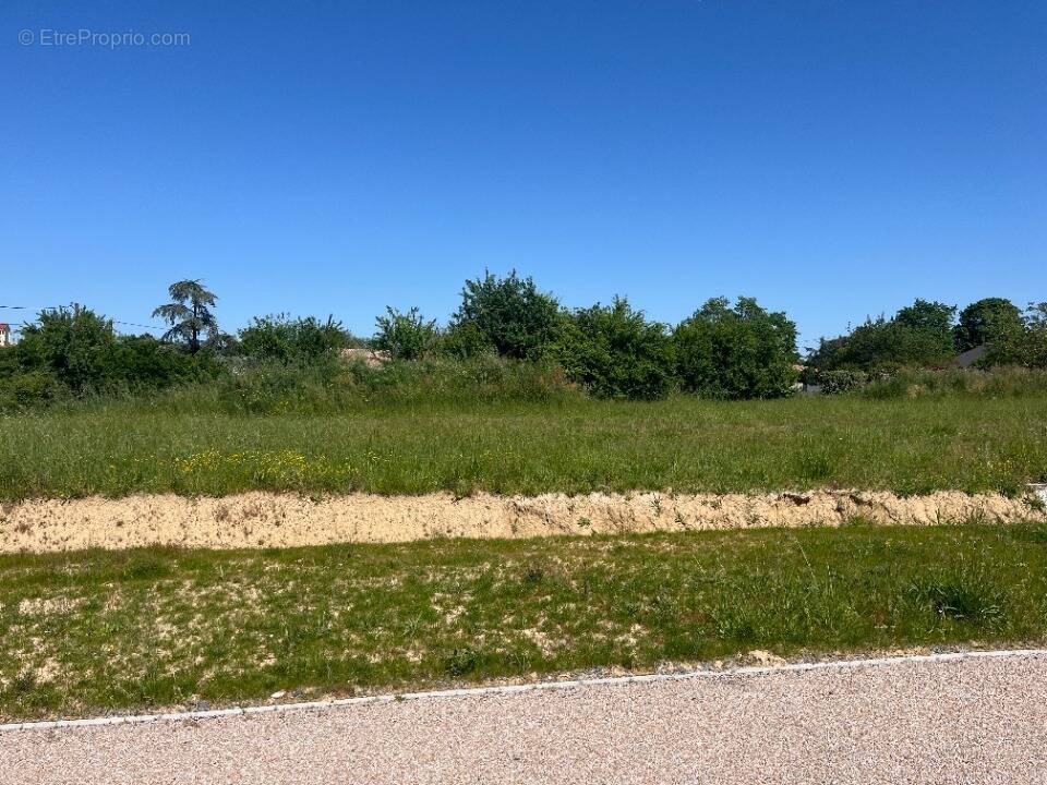 Terrain à TECOU