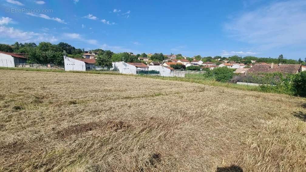 Terrain à CASTELNAU-MONTRATIER