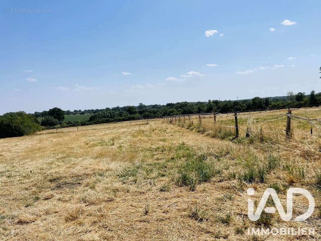 Maison 140 m² à Clere-Sur-Layon  - photo 6
