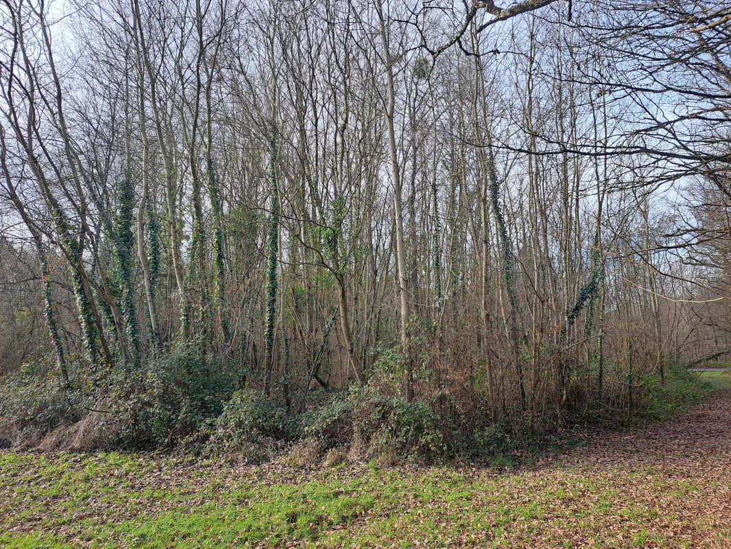 Terrain à SAINT-CALAIS