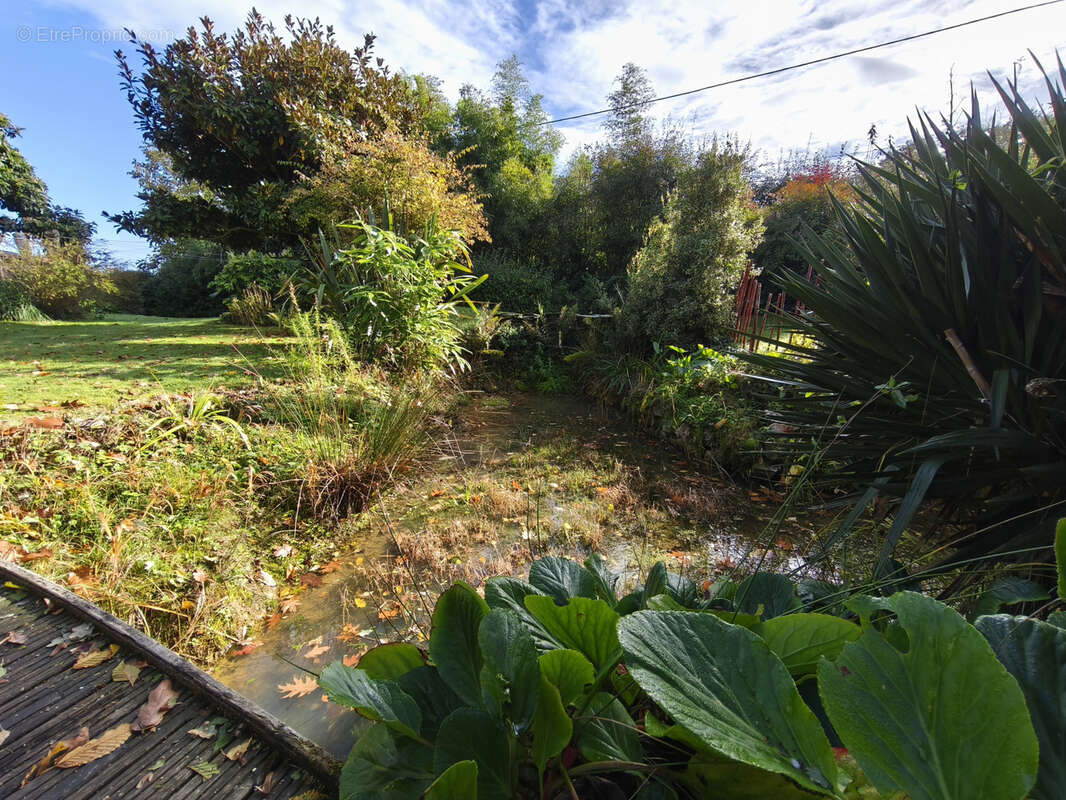 Maison à GUEMENE-PENFAO