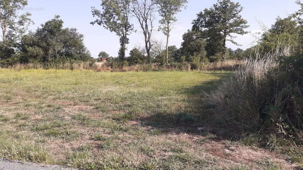 Terrain à BRESSUIRE