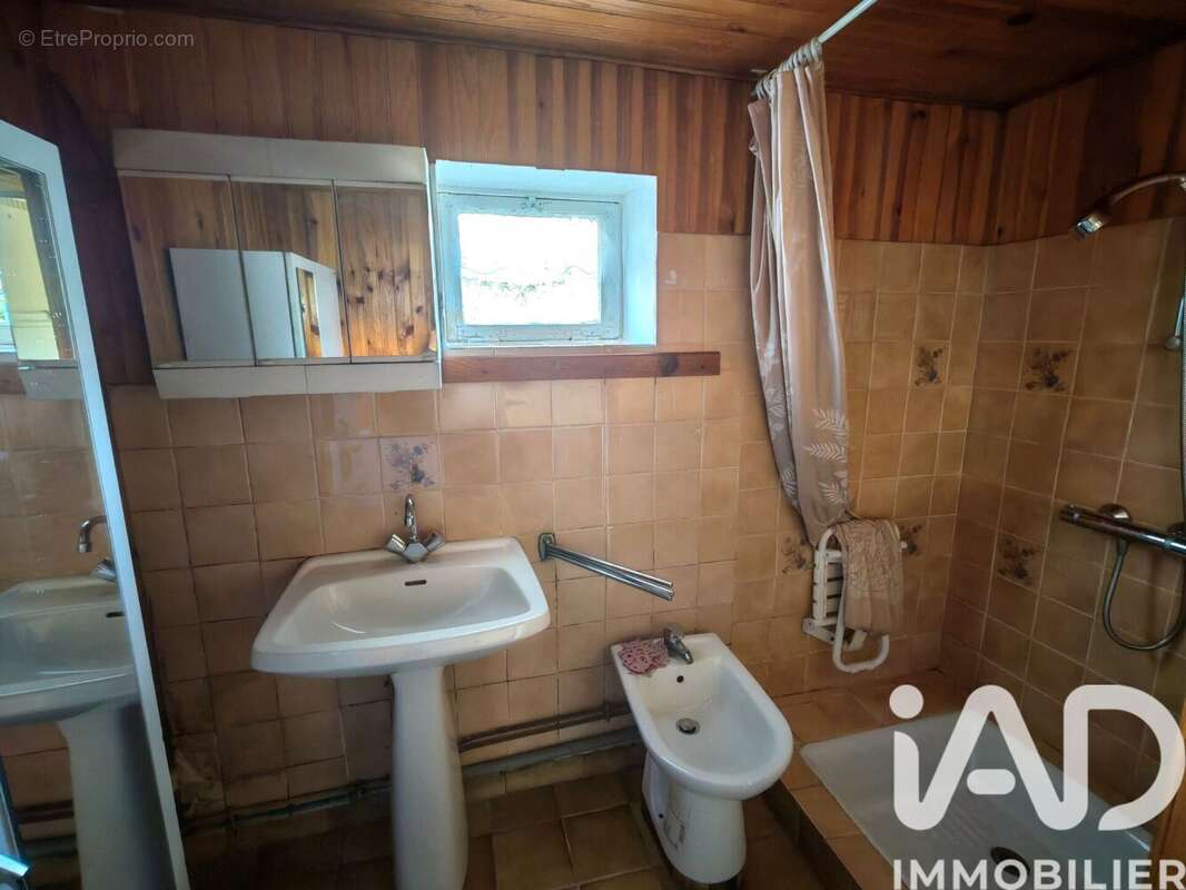 Photo 9 - Maison à THEVET-SAINT-JULIEN