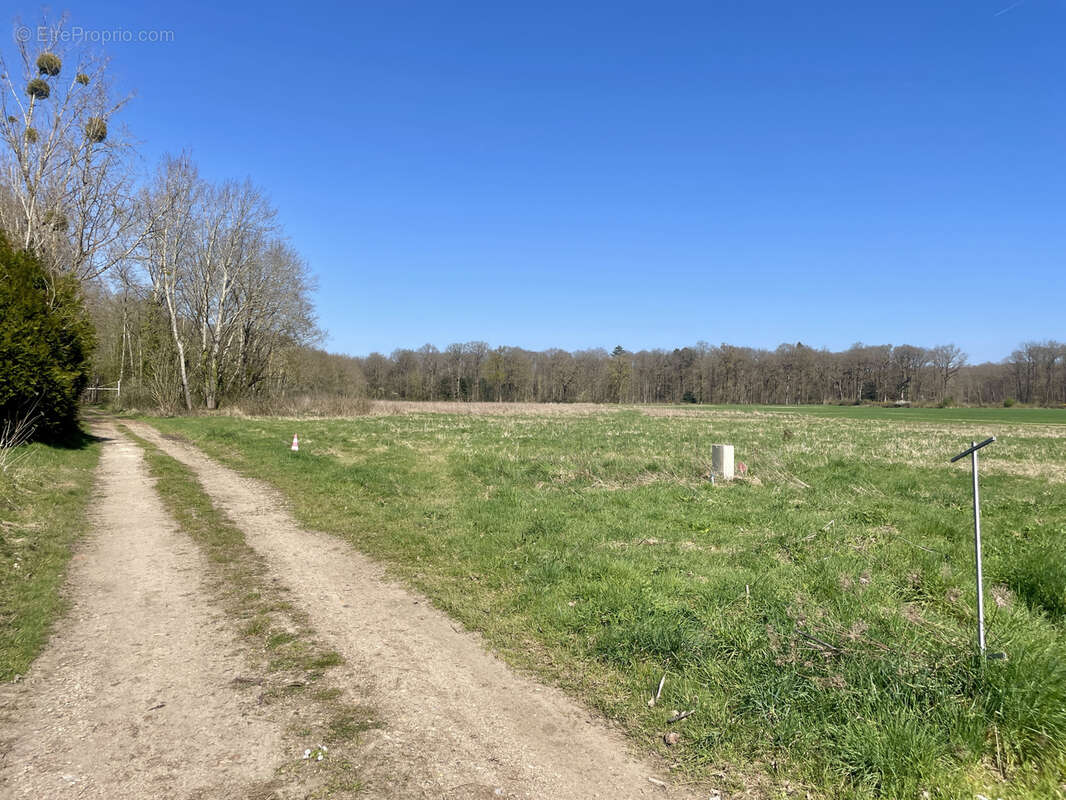 Terrain constructible 1081m2 reuilly - photo 4