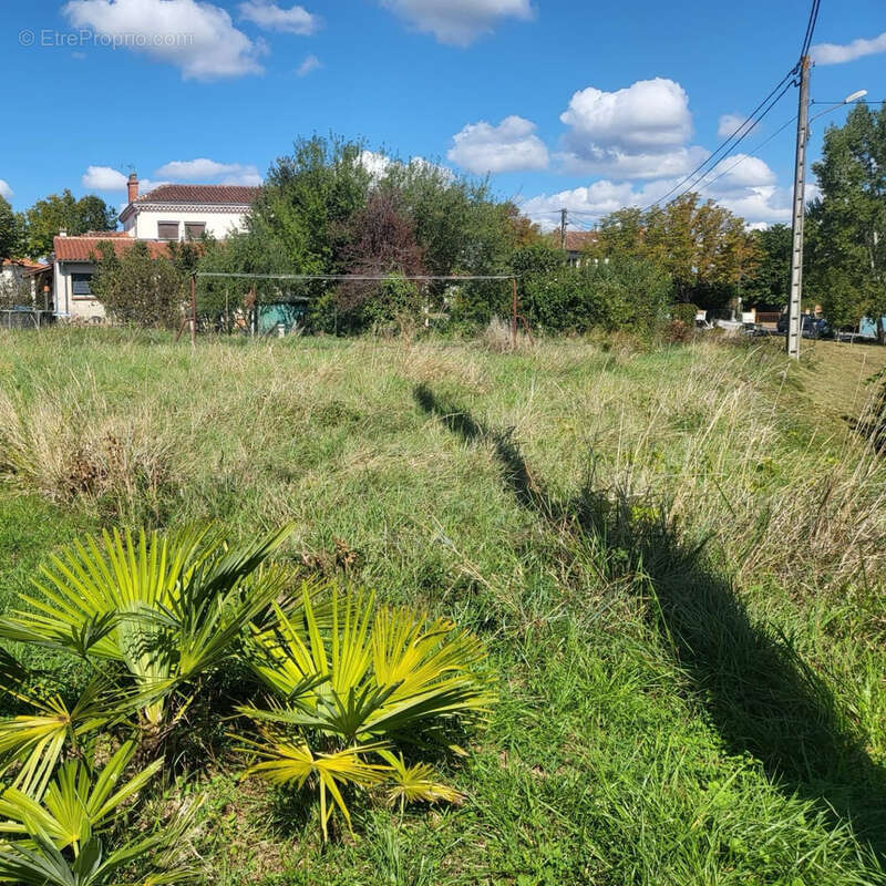 Terrain à GAILLAC
