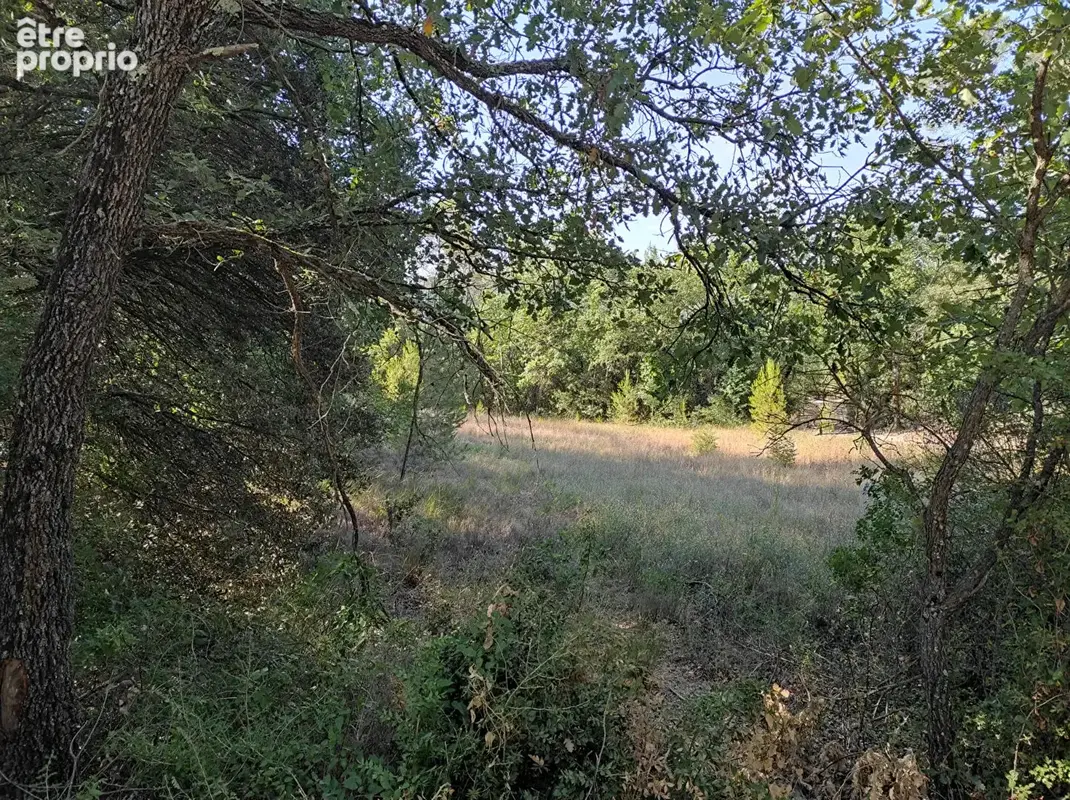 Terrain à LE THORONET