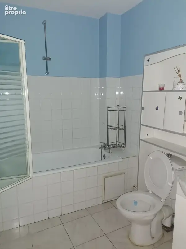 Immeuble pour investisseur - photo 6