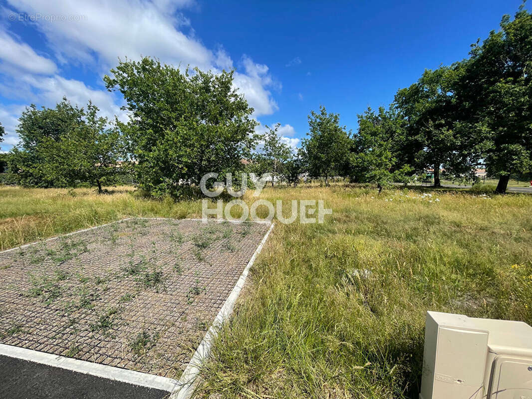 Terrain à PARENTIS-EN-BORN