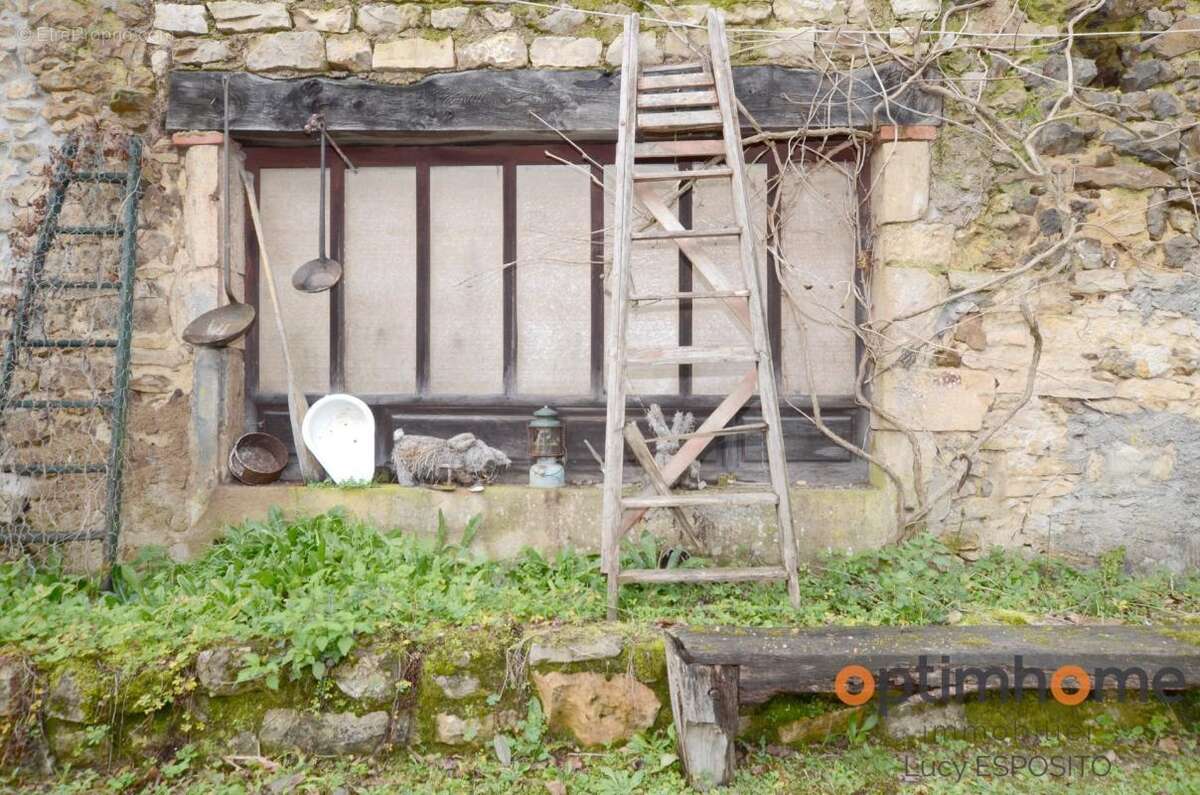 Propriété de 4 chambres au bord de la rivière à vendre - photo 50