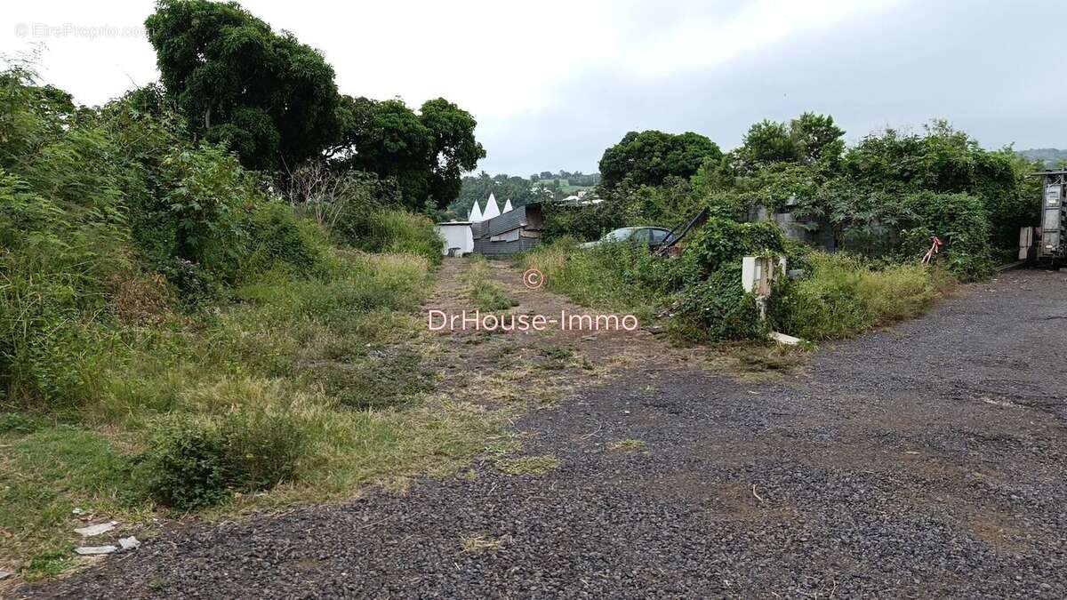 Terrain à LE TAMPON