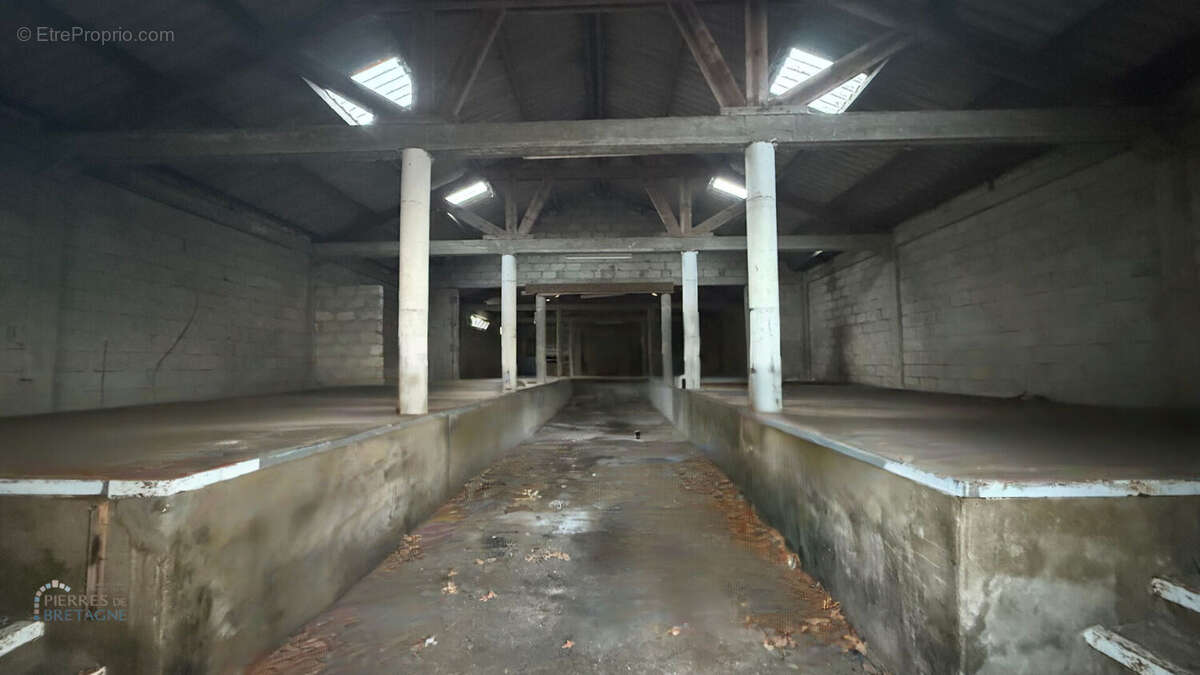 Commerce à SAINT-RENAN