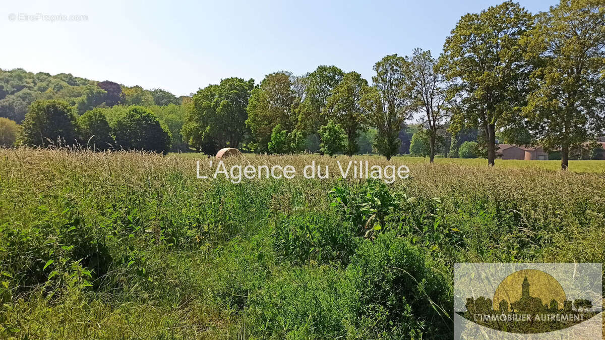 Terrain à SAINT-CREPIN-IBOUVILLERS